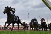 Cranbourne Tips for 18.04.2025