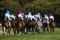 Cranbourne Tips for 22.06.2025