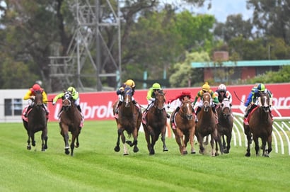 Cranbourne Tips for 22.11.2025