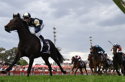 Cranbourne Tips for 22.11.2025