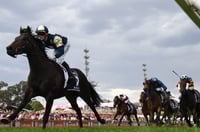 Cranbourne Tips for 23.05.2025