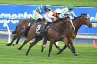 Cranbourne Tips for 28.03.2025