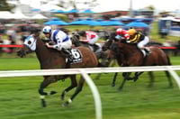 Cranbourne Tips for 30.05.2025