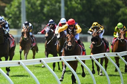 Cranbourne tips - 09/10