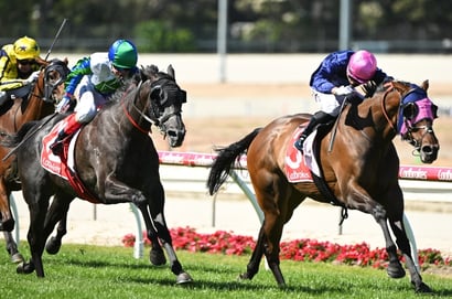 Cranbourne tips - 10/04