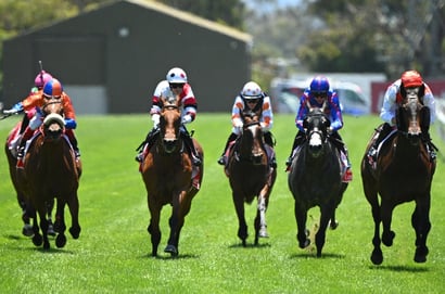 Cranbourne tips - 16/07