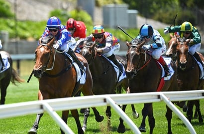 Cranbourne tips - 24/04