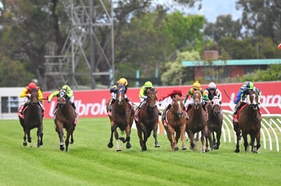 Cranbourne tips for 10.10.2025