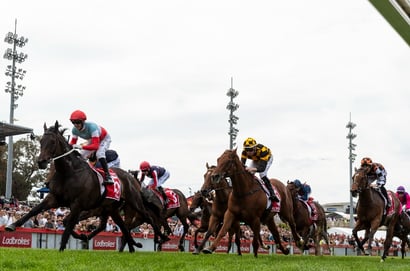 Cranbourne tips for 12.12.2025