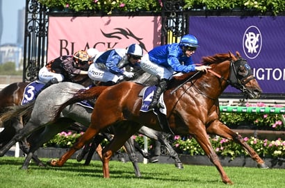 Get $3.50 for either Jimmysstar or Tentyris to win the TJ Smith Stakes