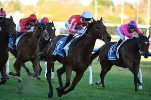 Dabble - 13/06