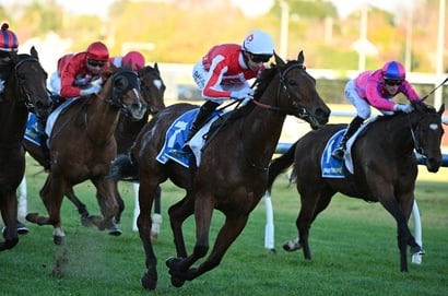 Dabble - 13/06