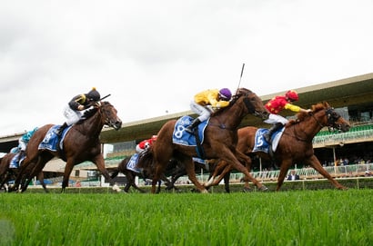 Dabble - 15/07