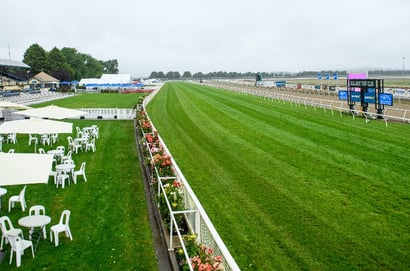 Dabble - 16/06