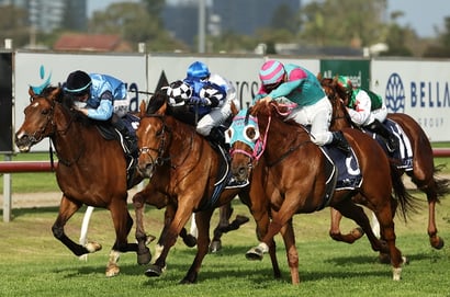 Dabble - 16/12