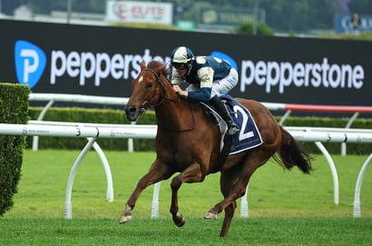 Get $3.50 for either Angel Capital or Jimmysstar to win the All Aged Stakes