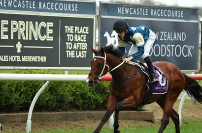 Dabble - 19/05