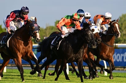 Dabble - 20/05