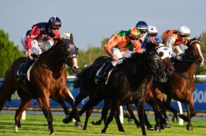 Dabble - 20/05