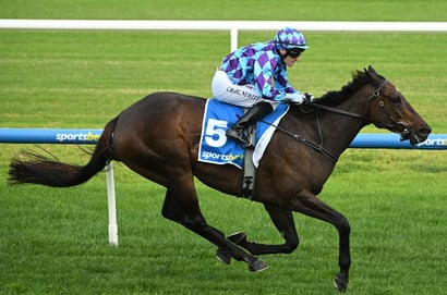 Get $2.40 for Pride Of Jenni to Run Top 2 in the Doomben Cup