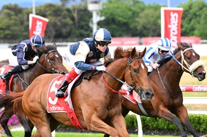 Get $3.25 for any of Jimmysstar, Private Eye or Fangirl to win the Kingsford-Smith Cup