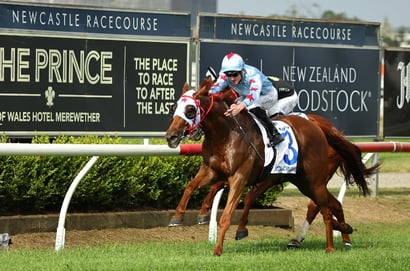 Get $3.25 for Dollars to Run Top 2 in Race 6 at Newcastle
