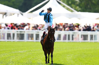 Dabble UK - 16/06