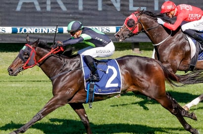 Grab $3.50 for either Private Eye or Headley Grange to Win the Tramway Stakes