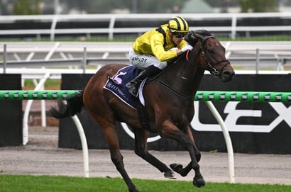 Grab $2.50 for King Zephyr to Run Top 2 at Eagle Farm