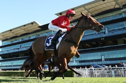 Dabble bbook - 15/08