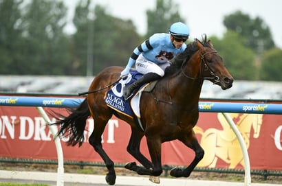 Dabble bbook - 29/08