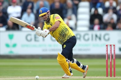 David Bedingham t20 cricket