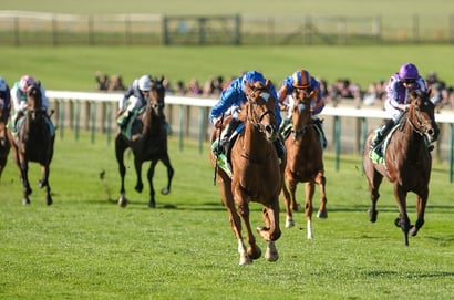 1000 Guineas 2026 FAQs - Vital Info For Newmarket