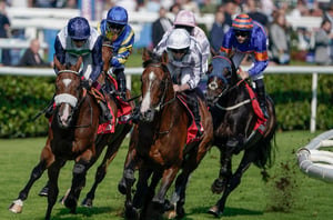 2026 Doncaster Cup Live Stream - Watch the Doncaster race online
