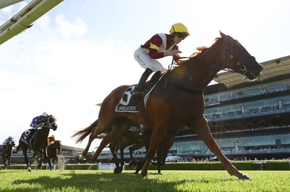 Doncaster Mile 2025 - Barrier Draw & Final Field