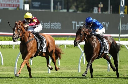 Doncaster Mile 2025 Betting Tips - Linebacker profiles well in a competitive feature