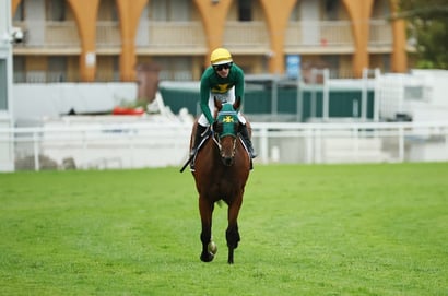 Doncaster Mile 2026 Betting Odds - Odds-on for Sheza Alibi
