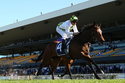 Doomben 10,000 2025 - Barrier Draw & Final Field