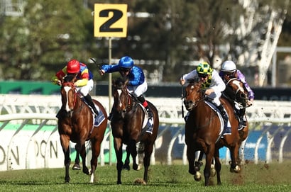 Doomben 10,000 2025 Betting Tips - J-Mac vs Jamie