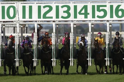 Doomben Blackbookers
