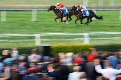 Doomben Blackbookers and horses to follow from May 23