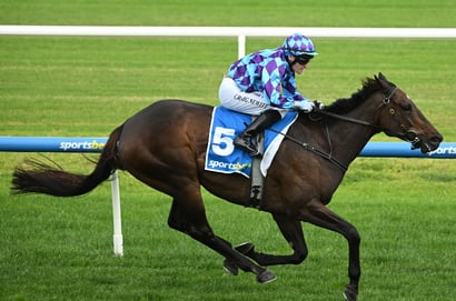 Doomben Cup 2025 - Barrier Draw & Final Field