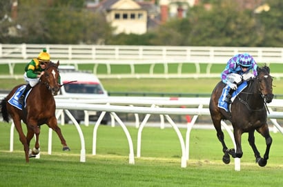 Doomben Cup 2025 Betting Odds - Pride Of Jenni shades Antino