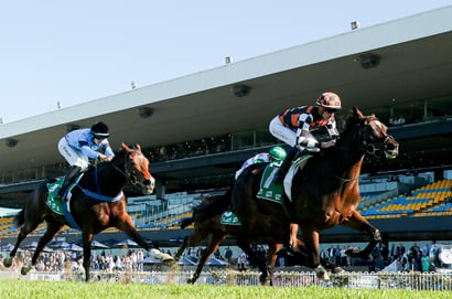 Doomben Cup 2025 Betting Tips - Firmer is fine for Antino