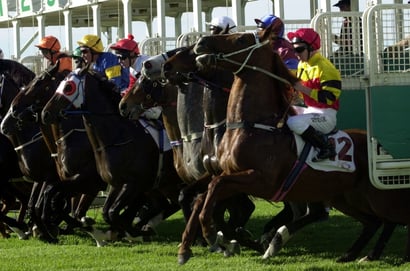 Doomben Horse Racing