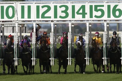 Doomben Horse Racing