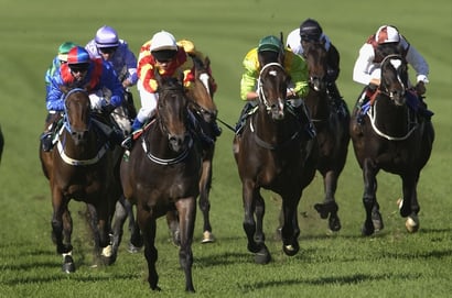 Doomben Horse Racing
