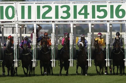 Doomben Horse Racing