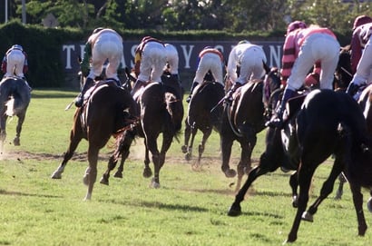 Doomben Tips for 01.02.2025