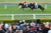 Doomben Tips for 16.07.2025
